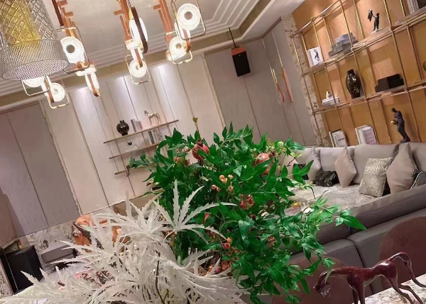 1692102641564570.png QQ浏览器截图20230814214136.png