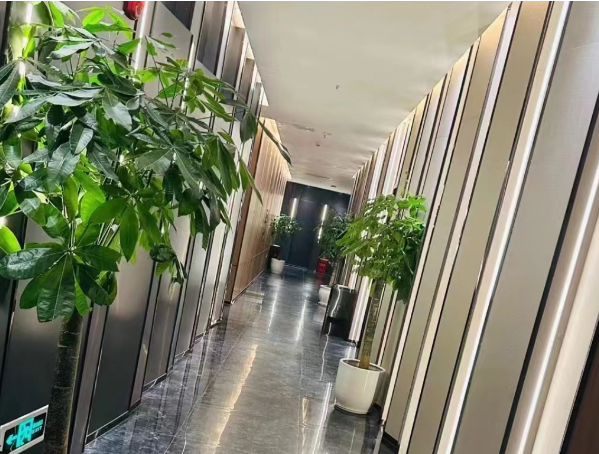 QQ浏览器截图20231107144501.png
